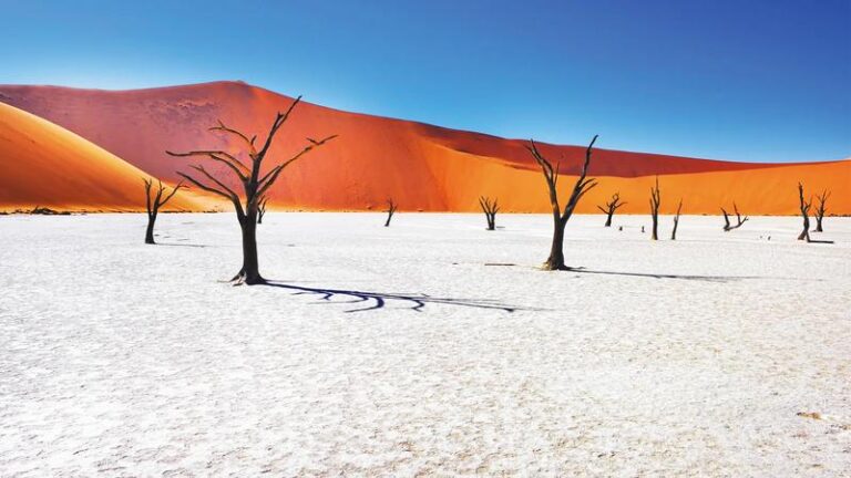 Najlepszy czas na podróż do Namibii – kiedy wyruszyć na przygodę?