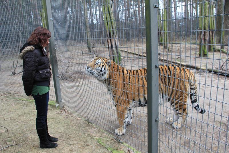 Transport publiczny i samochodem do zoo