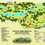 Jak dojechać do nowego zoo w Poznaniu? Praktyczny przewodnik dla odwiedzających