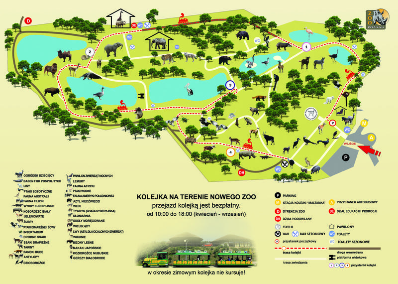 Jak dojechać do nowego zoo w Poznaniu? Praktyczny przewodnik dla odwiedzających