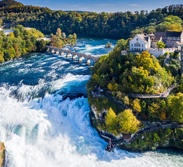 Mainau wiosenne kwiaty i kwitnienie