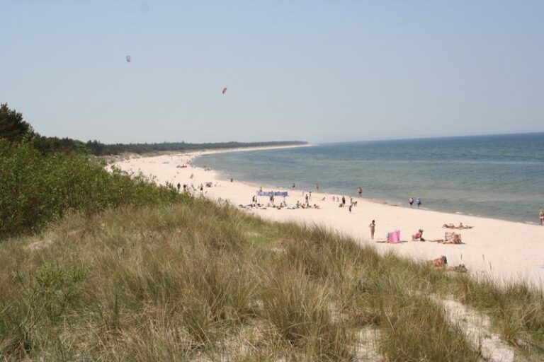 Jak wygodnie dotrzeć do Grzybowa – praktyczny przewodnik dla podróżników