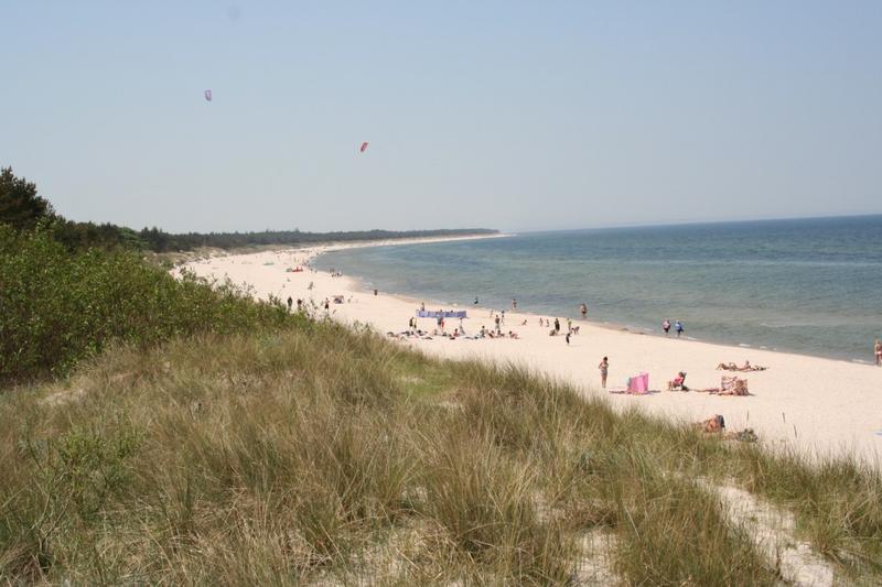 Jak wygodnie dotrzeć do Grzybowa – praktyczny przewodnik dla podróżników