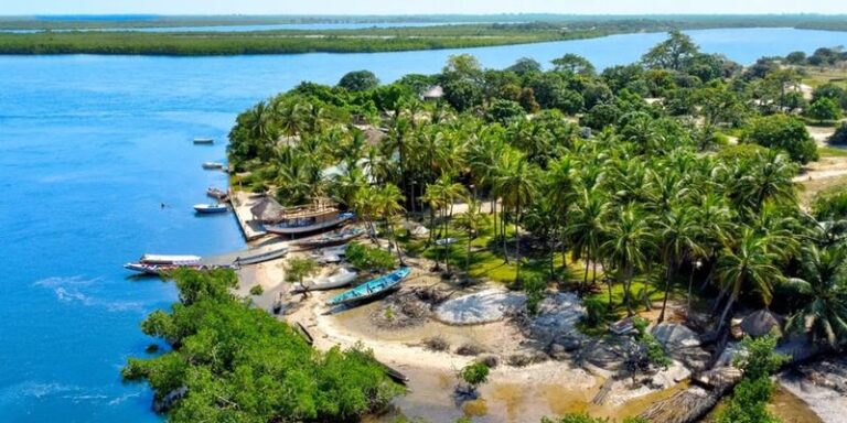 Najlepszy czas na wizytę w Gambii – kiedy warto się wybrać?