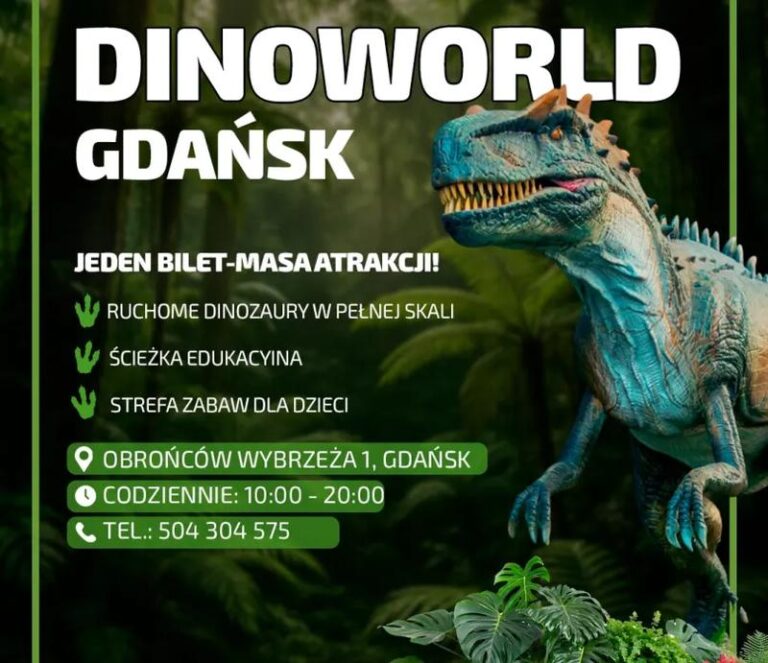 Wybór idealnego biletu na 304 – co warto wiedzieć?