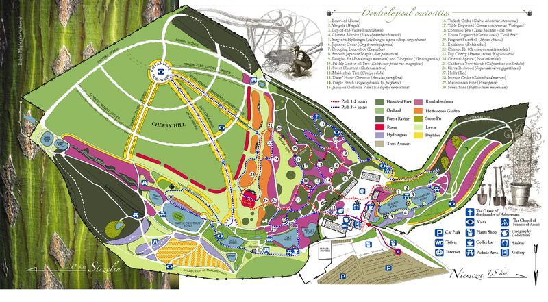 Arboretum Wojsławice