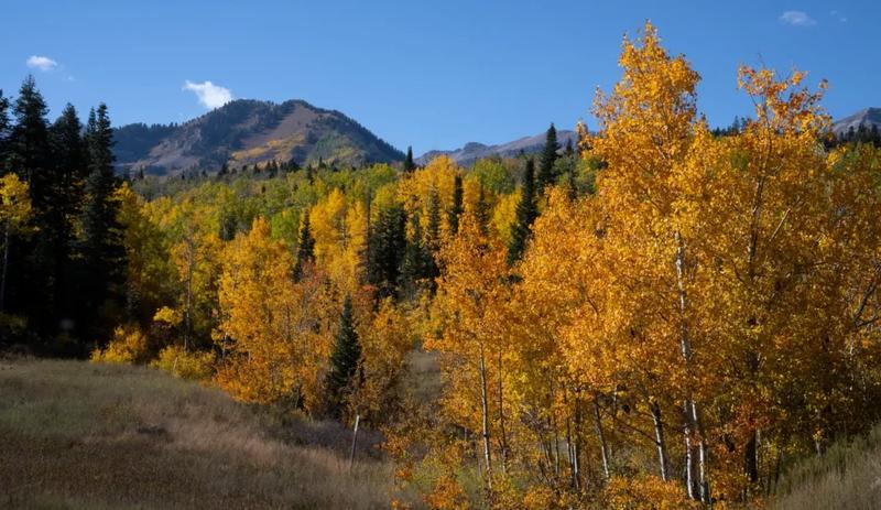 Przygotowanie do wędrówek