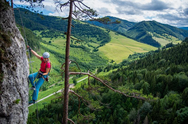 Winiety i opłaty drogowe Słowacja
