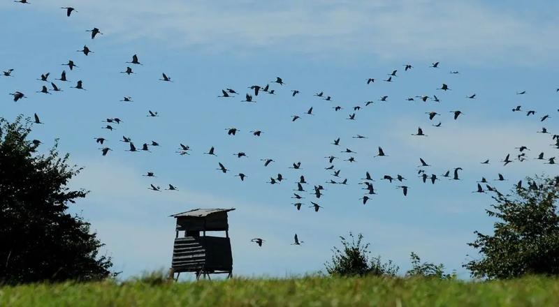 Wyposażenie plecaka na wycieczkę