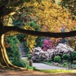 Jak dotrzeć do arboretum Wojsławice? Praktyczny przewodnik dla odwiedzających