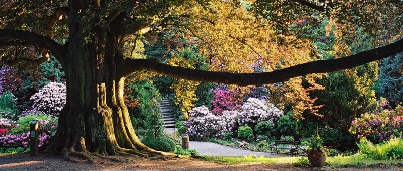 Jak dotrzeć do arboretum Wojsławice? Praktyczny przewodnik dla odwiedzających