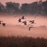 Jak przygotować się na wędrówki: co spakować w góry jesienią?