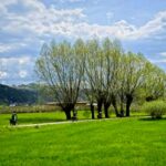 Jak wygodnie dotrzeć z Nowego Sącza do Szczawnicy? Sprawdź nasze porady!