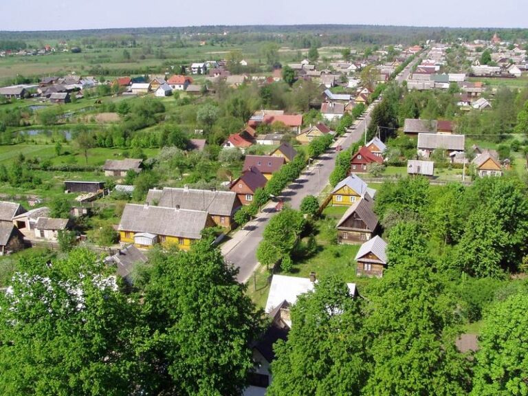 Jak wygodnie dojechać do Białowieży? Praktyczny przewodnik dla turystów