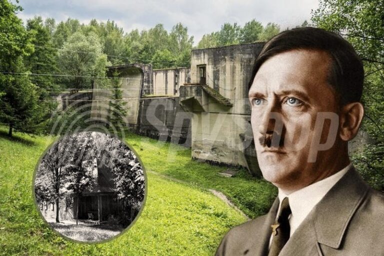 Sprawdzone trasy i porady: jak dojechać do Wilczego Szańca