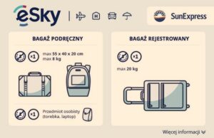 Bagaż rejestrowany — co wolno spakować i czego unikać