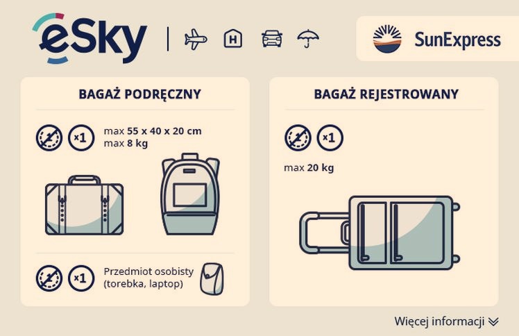 Bagaż rejestrowany — co wolno spakować i czego unikać