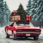 Jak przewozić choinkę: zabezpiecz auto i uniknij uszkodzeń